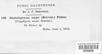 Image Associated With the Occurence
